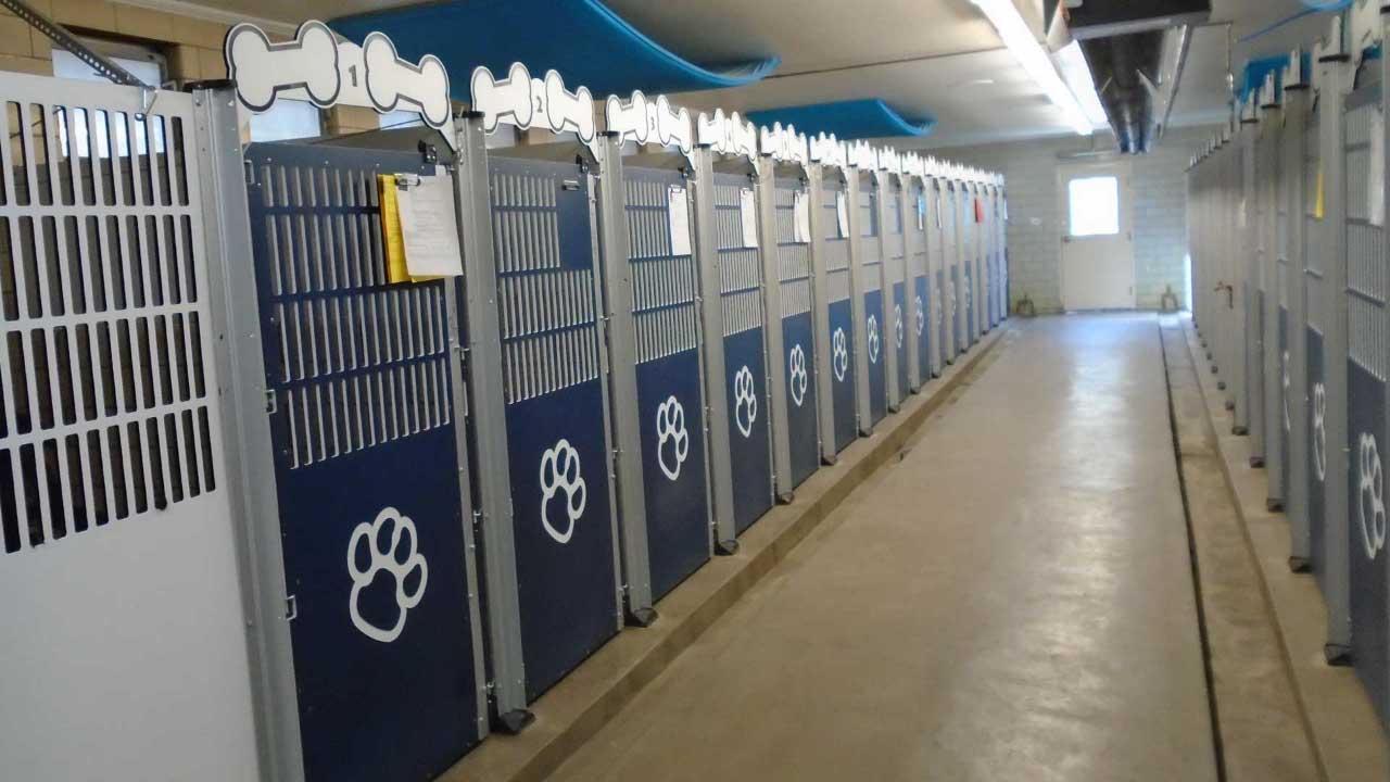 Professional dog kennels sale