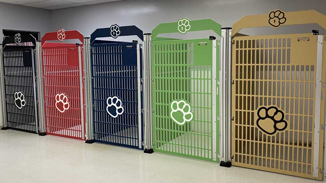 Professional dog kennels for sale sale