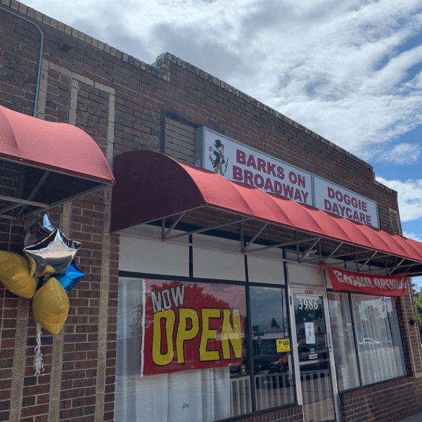 Barks on Broadway Doggie Daycare in Colorado