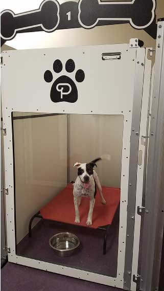 Dog Kennel