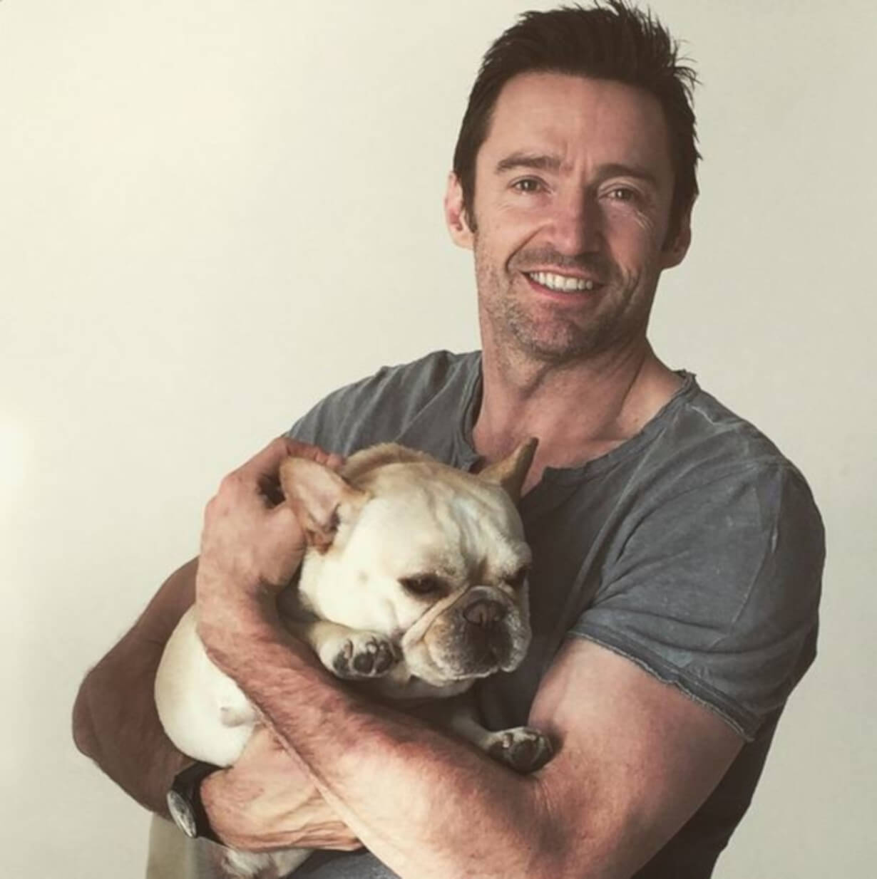 Hugh Jackman with French Bulldog