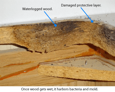 damaged laminates laminate gator vs
